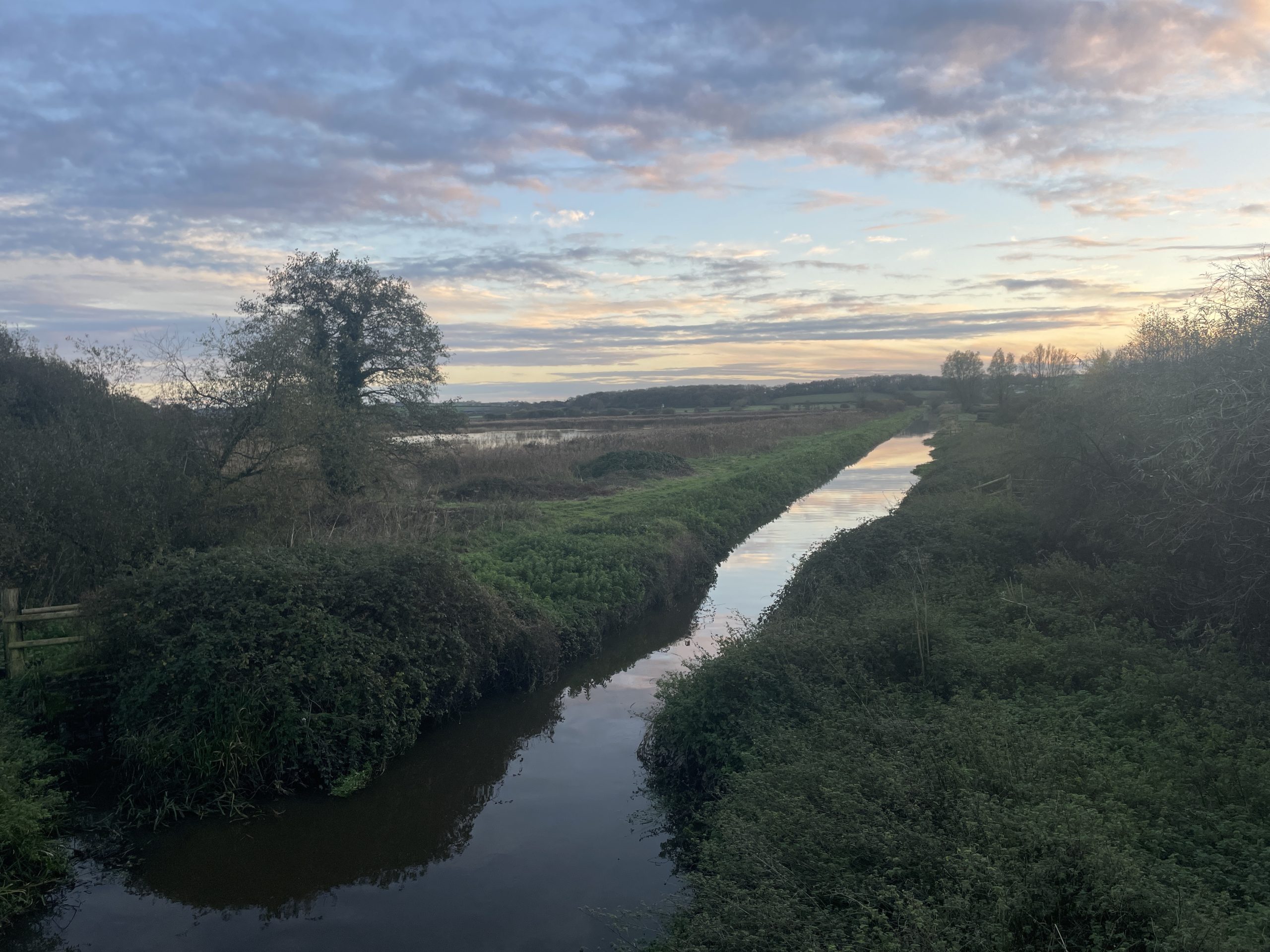 A linear pattern of rhynes, or drainage ditches, stretching across the landscape, reflecting the historic drainage system of the land
