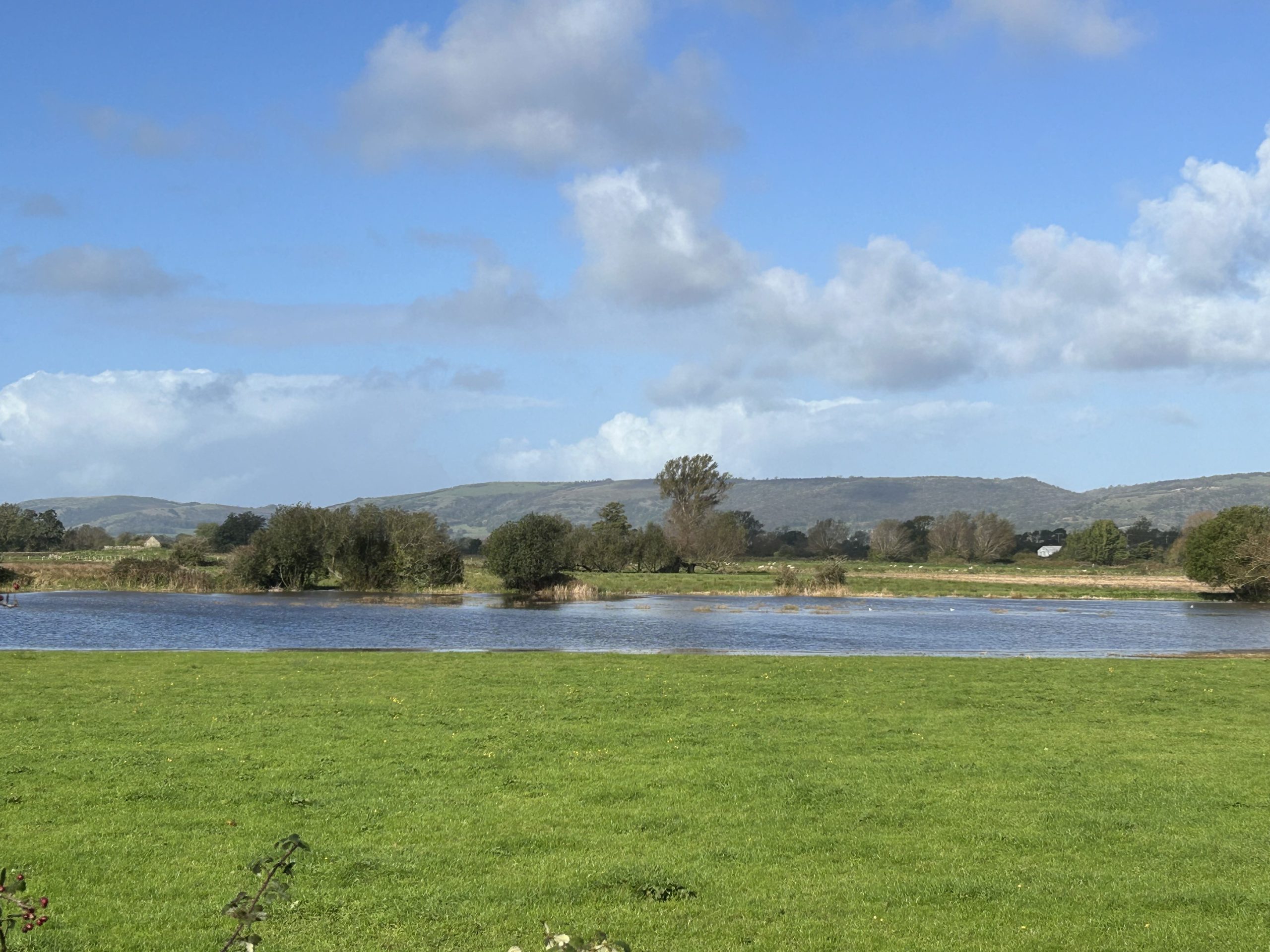 Seasonal inundation of the Peat and Clay Moors, looking towards the Mendip Hills.