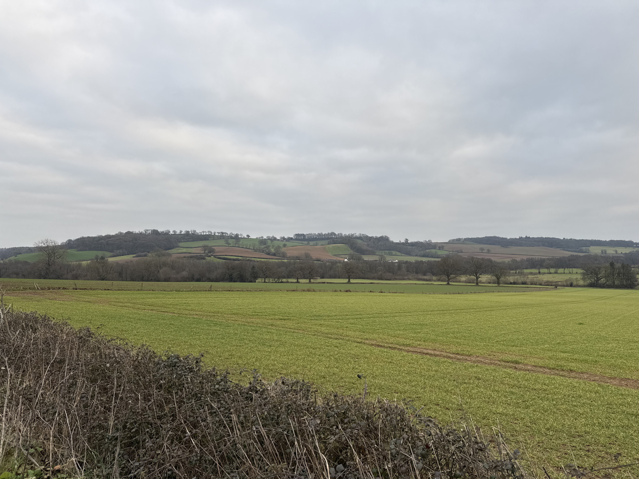 Irregular Rural Patterns Somerset Landscape Character Assessment